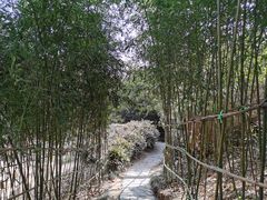 -竹子庵公园