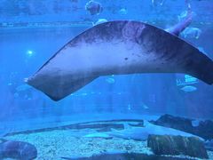 -华夏文旅西安度假区