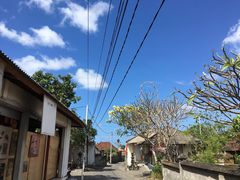 -乌布德传统市场
