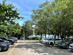 -深圳湾公园(南山区)