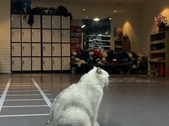 -拳盛时代拳击俱乐部(北京路店)