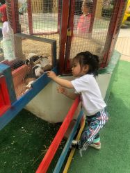 -萌宠亲子动物乐园(槐房万达店)