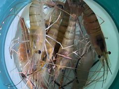 -布吉佳兆业广场