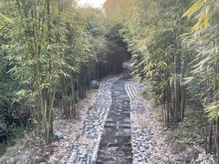 -崇阳三特浪口温泉