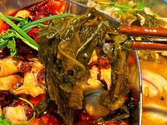 -武记碳锅鱼大盘鸡(杜岭街店)