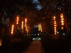 -咸宁万豪温泉谷度假区