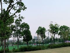 -上海竞达足球俱乐部(宝山校区)
