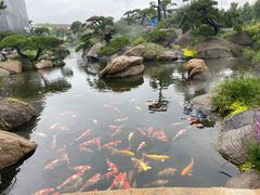 -罗红摄影艺术馆