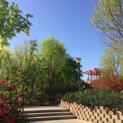 -大望京儿童游乐场