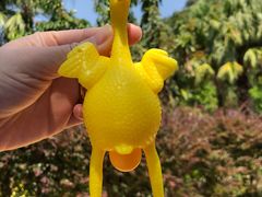 -江门古兜温泉小镇