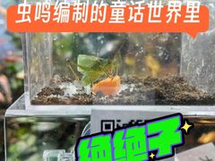 -上海大自然野生昆虫馆(东方明珠·爬宠昆虫探索中心)
