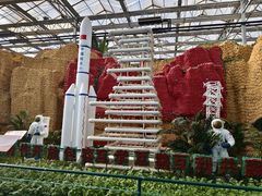 -兰陵国家农业公园