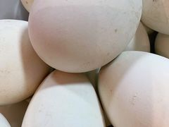 -鸽子窝(万丰路店)