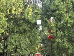 -北京市劳动人民文化宫(太庙)