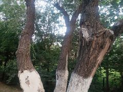 -健龙森俱乐部·游泳·健身·羽毛球综合体育馆
