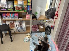 -瑞鹏·疫苗·绝育·宠物医院(金沙洲店)