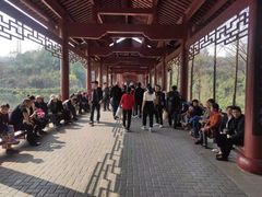 -重庆彩云湖湿地公园