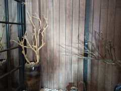 -毛家饭店(澳德乐店)