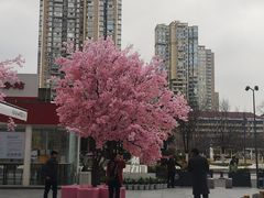 -首开·龙湖成都西宸天街