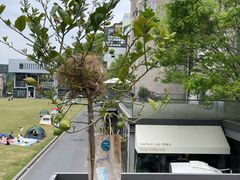 -CEMENT·coffee bar (凤凰创意园店)
