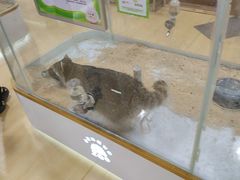-万达广场(北京槐房店)
