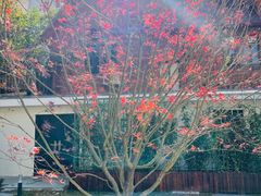 -一尺花园(安和花园店)