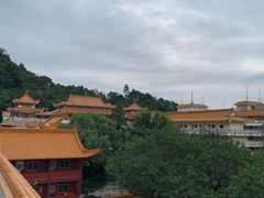 -深圳仙湖植物园