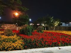 -莫子山公园