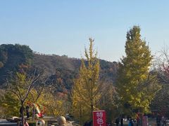 -遵化市禅林寺古银杏风景园