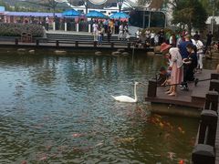 -万佛湖风景区