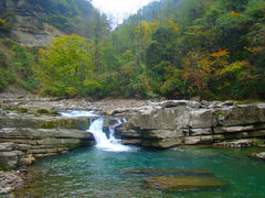 景点-黎坪国家森林公园
