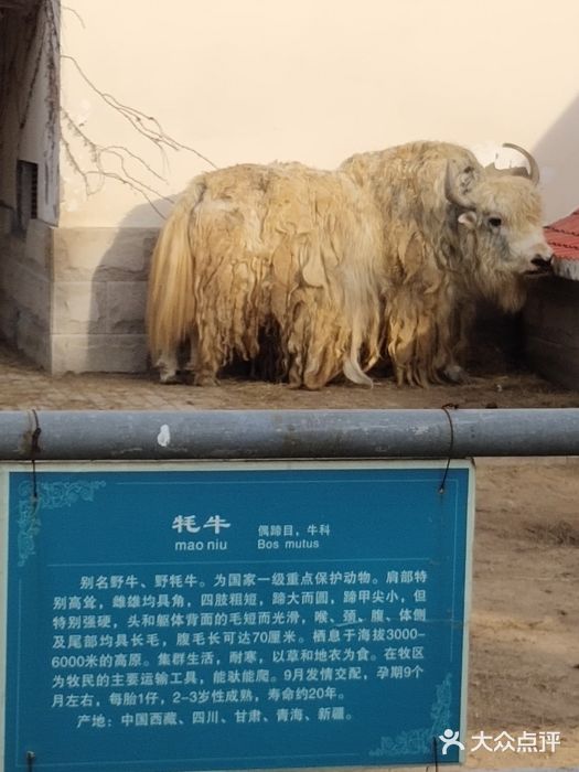 青岛动物园图片