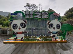 -中国大熊猫保护研究中心雅安碧峰峡基地