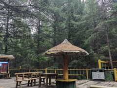 -苏木山森林公园