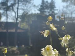 -北寺塔
