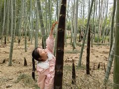 -同里国家湿地公园