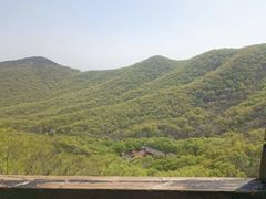 -皇藏峪国家森林公园