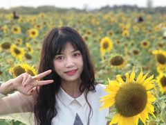 -映月湖中央公园