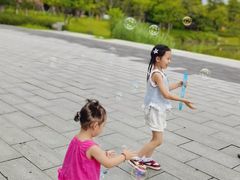 -王借岗森林公园