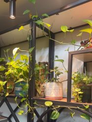 -冰岛刺青·手工耳饰品售卖·专业纹身