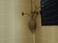 -北京东直门智选假日酒店