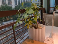 -金链花·泰国餐厅(国贸店)