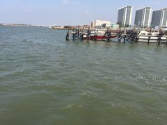 -老虎石海上公园