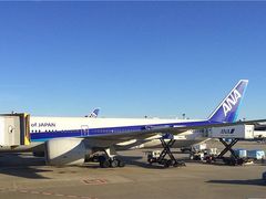 -全日本空输株式会社(上海办事处)