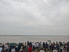 -观潮胜地公园