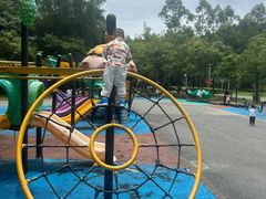 -广东花都湖国家湿地公园