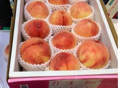 -香港会议展览中心演讲厅