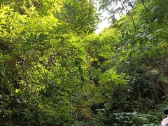 -亚婆田·白水寨生态旅游度假区