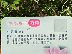 -仁和公园(顺义区)