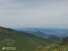 -武陵山森林公园